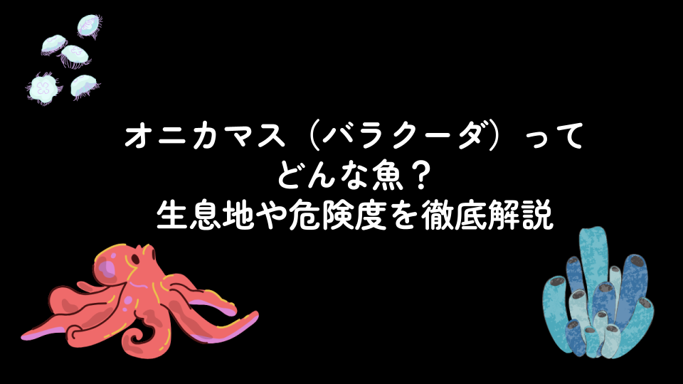 オニカマス（バラクーダ）ってどんな魚？生息地や危険度を徹底解説